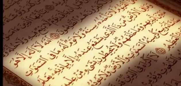 آيات قرآنية عن التضامن الجواب